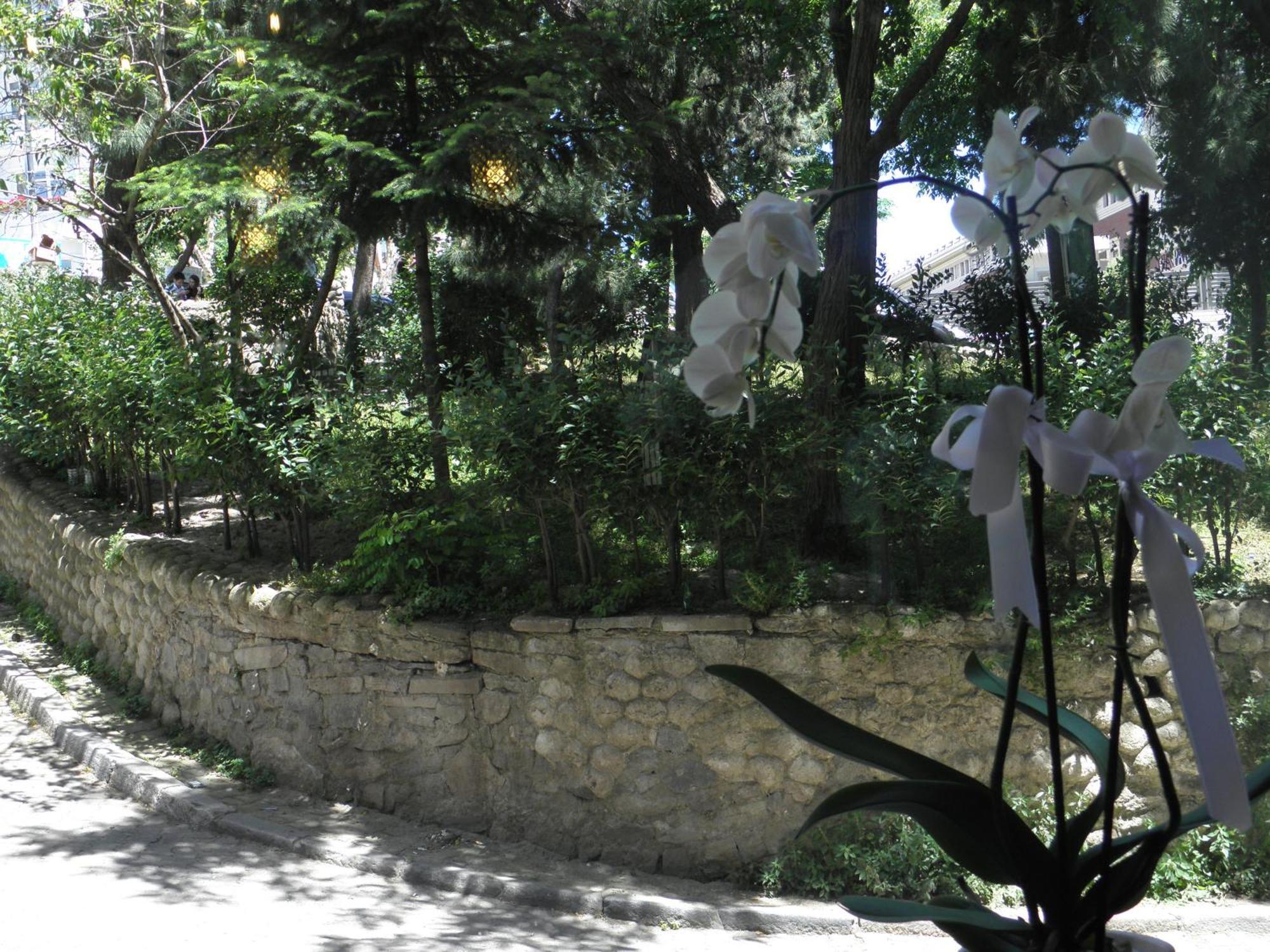 Omar Sultan Park Suites - Istanbul — Fotoğraflar 3
